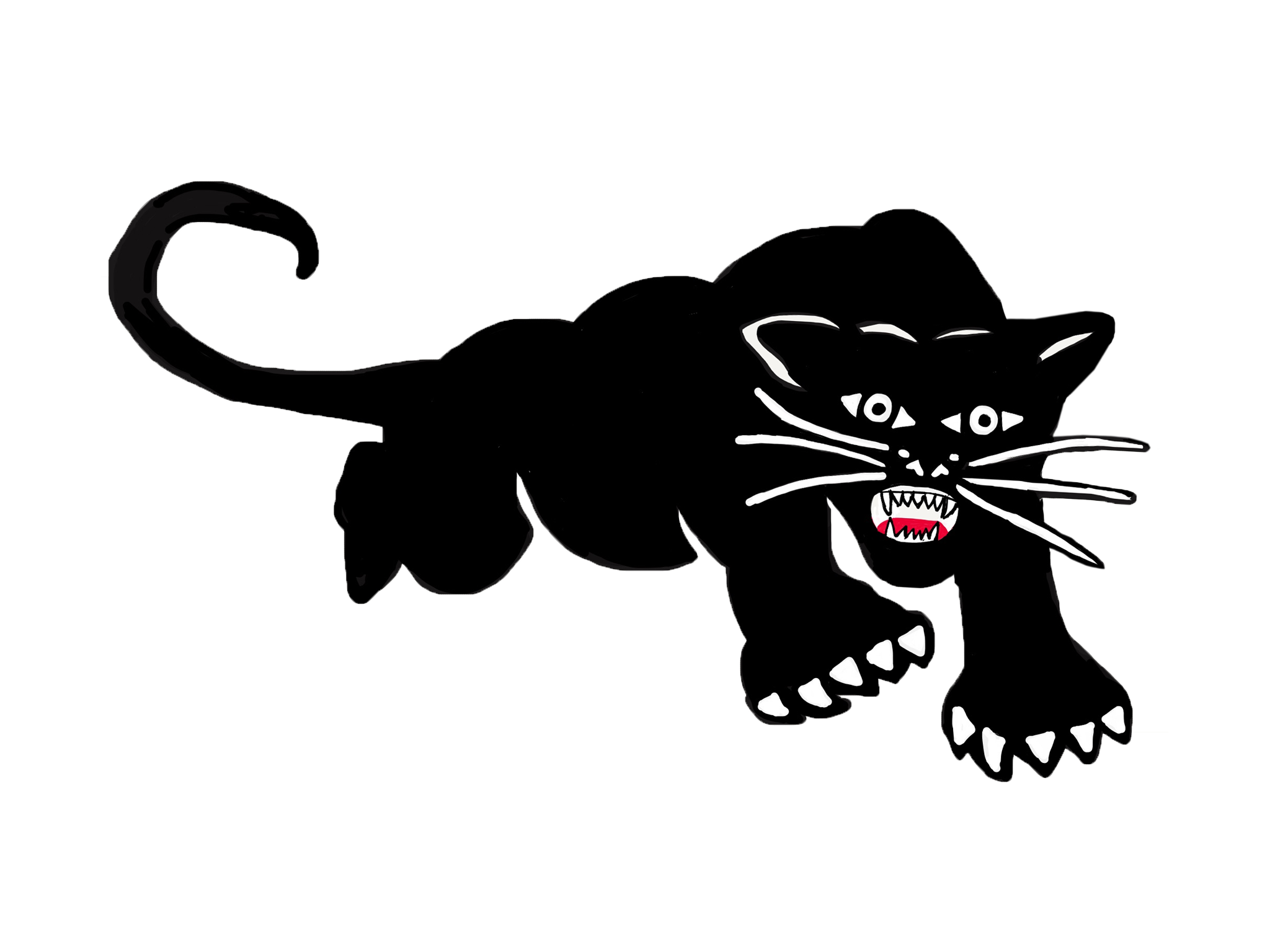 The Black Panther Party
