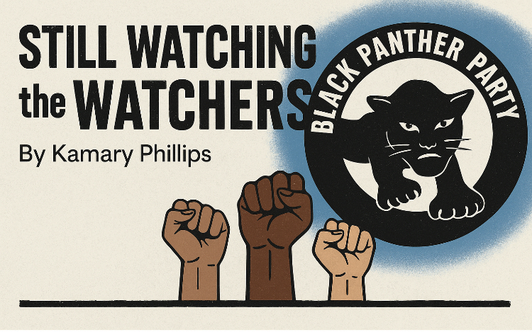Still Watching the Watchers